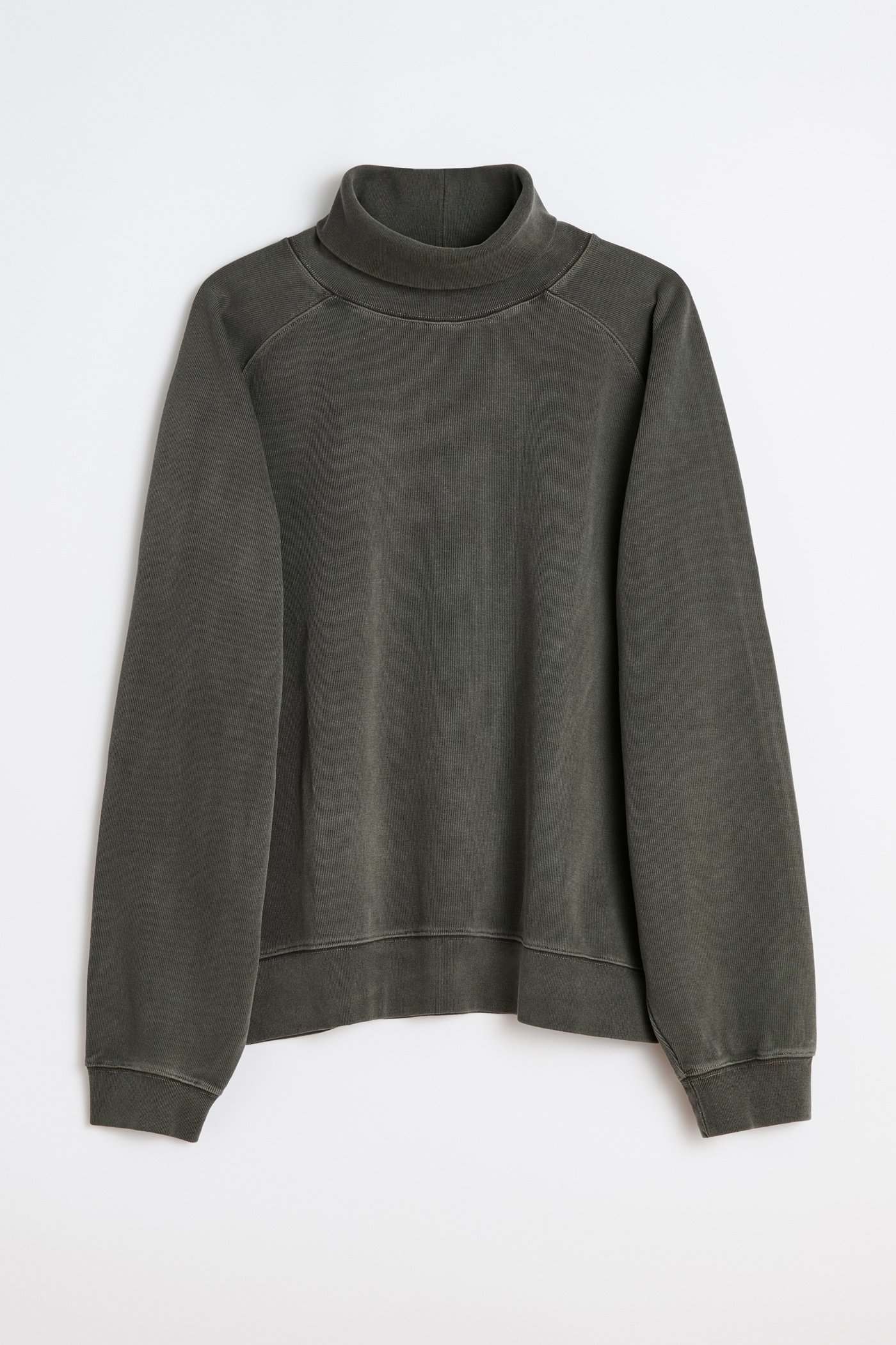 SCHOLAR ROLLNECK